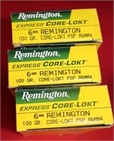 Ammo - 6mm - 2 Boxes +4 - 100gr.