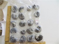 GONIATITE SHEET (18 PIECES) FROM MOROCCO