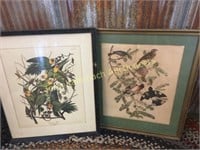 Pair of antique frames Audibon prints