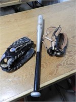2 Baseball Gloves & Bat