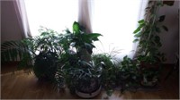 Lot #118 Houseplant lot to include: (2) oriental