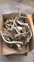 Box of antlers