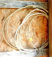 Roping Rope & Twisted Wire Snaffle Bit