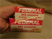 40 rds Federal 243