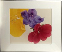 Pencil Signed Jill Bedford Print Of Flowers