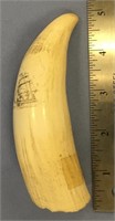 5" fossilized whale's tooth, scrimshawed with a sa