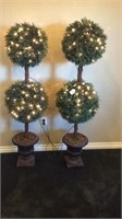 2 Lighted Topiary's