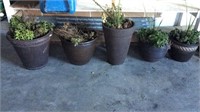 5 outdoor flower pots