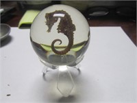 Seahorse in Paperweight Base