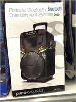 PureAcoustics Bluetooth Entertainment System $100R