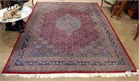 Great Large Area Rug with Fringe Ends