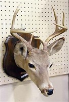Mounted 8 Point Deer Head on Plaque