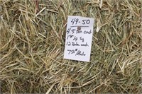 Hay-Lg. Squares-1st-12 Bales