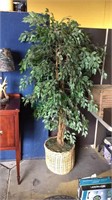6 foot tall faux tree in a basket base with mossy