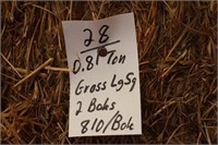 Hay-Grass-Lg. Squares-2 Bales