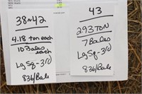 Hay-Lg. Sq-3rd-10 Bales-M14.21-P21.9-R131-POT1.61