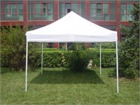 10' x 10' Commercial Pop Up Tent