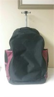 Nice Reebok Figure Skate/ Hockey Bag