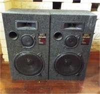 PAIR OF 8812 LINEAR PHASE SPEAKERS