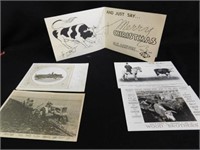 Three postcards - Kansas City Livestock Exchange