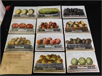 Packet of California fruit postcards