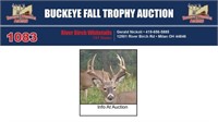 Trophy Buck - Info at auction