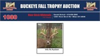 Trophy Buck - Info at auction