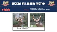 Orange 122 Trophy Buck