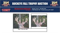 Red 138 Trophy Buck