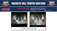 Or 1519 Trophy Buck