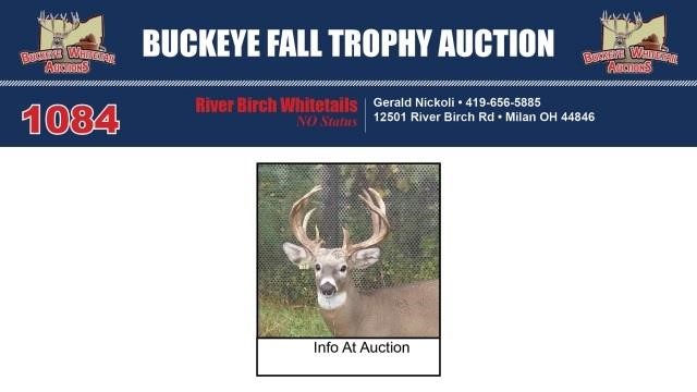 Buckeye Fall Trophy Auction