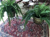 Pair of Artificial Ferns with Planters and stands