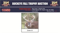 Green 81 Trophy Buck