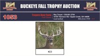 #23 Trophy Buck