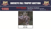 Red 29 Trophy Buck