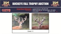 Green 11 Trophy Buck est 210"