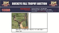 Red 421 Trophy Buck