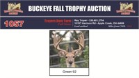 Green 92 Trophy Buck