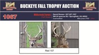 Red 157 Trophy Buck