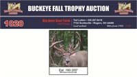180-200" Trophy Buck