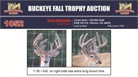 Y 36 Trophy Buck