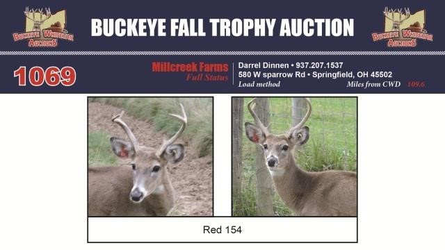 Buckeye Fall Trophy Auction