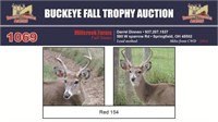 Red 154 Trophy Buck
