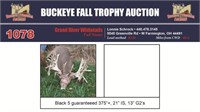 Black 5 Trophy Buck