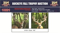 Y154 Trophy Buck 188 2/8” Guar. 180”  19 6/8” IS