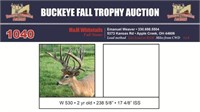 W 530 Trophy Buck