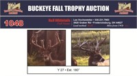 Y 27 Trophy Buck