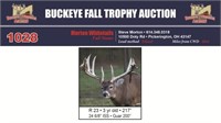 Red 23 Trophy Buck