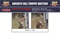 Yellow 11 Trophy Buck