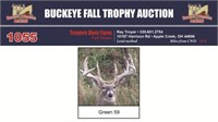 Green 59 Trophy Buck